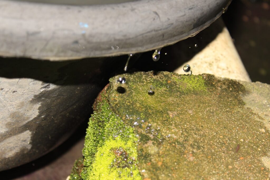 Repair or Replace Tires? Your Guide